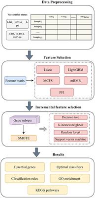 Identification of dynamic gene expression profiles during sequential vaccination with ChAdOx1/BNT162b2 using machine learning methods